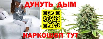стафф Моздок