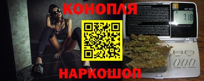 шишки Можга
