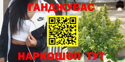 стафф Моздок
