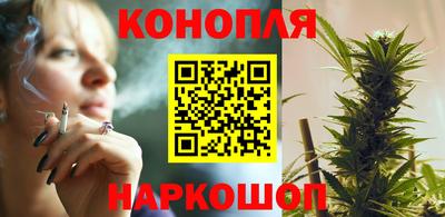 шишки Можга