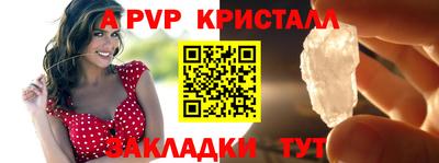 шишки Можга